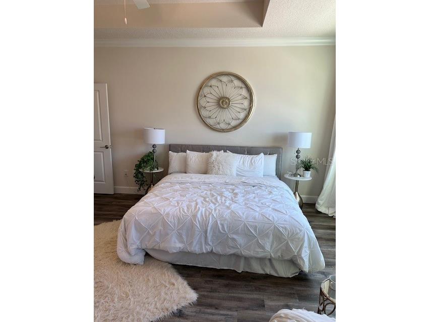 5739 Desert Rose Place Tampa FL 33615 TB8470883 image18
