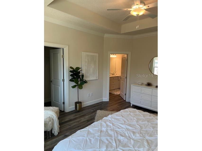 5739 Desert Rose Place Tampa FL 33615 TB8470883 image19