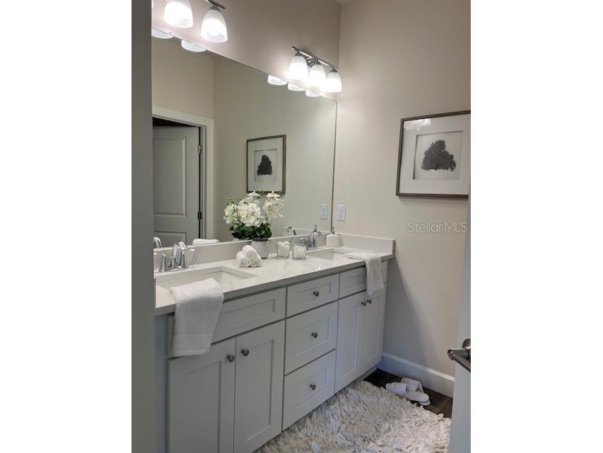5739 Desert Rose Place Tampa FL 33615 TB8470883 image20