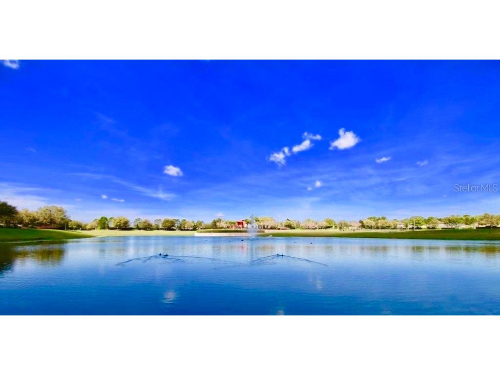 5739 SW 40th Street Ocala FL 34474 OM707184 image44