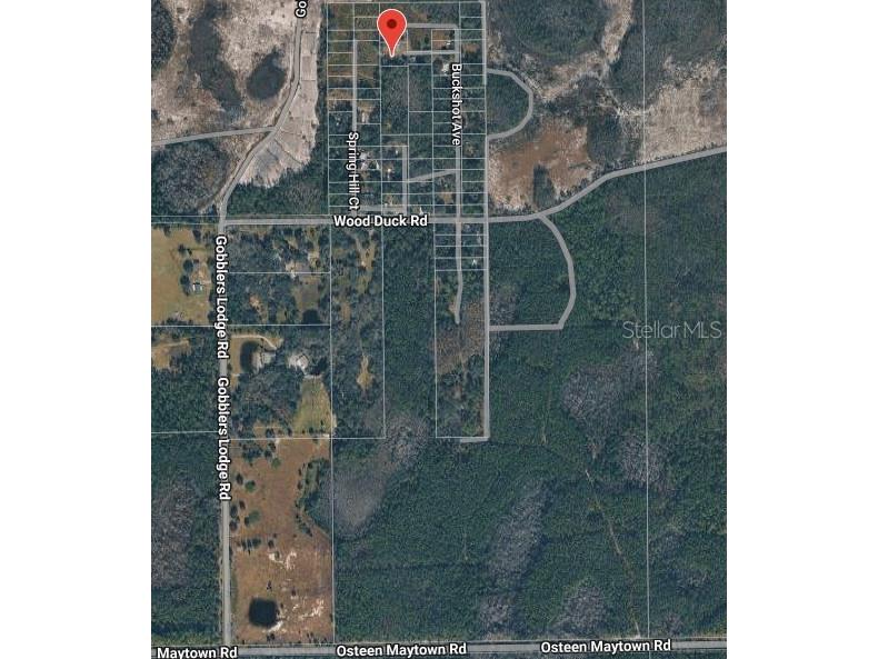 574 Thistle Hill Drive Osteen FL 32764 O6409998 image2