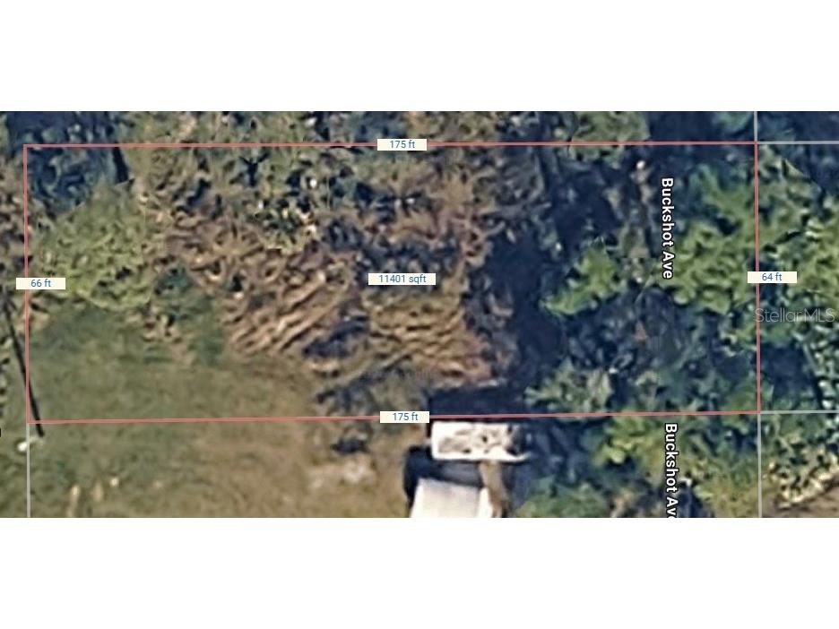 574 Thistle Hill Drive Osteen FL 32764 O6409998 image7