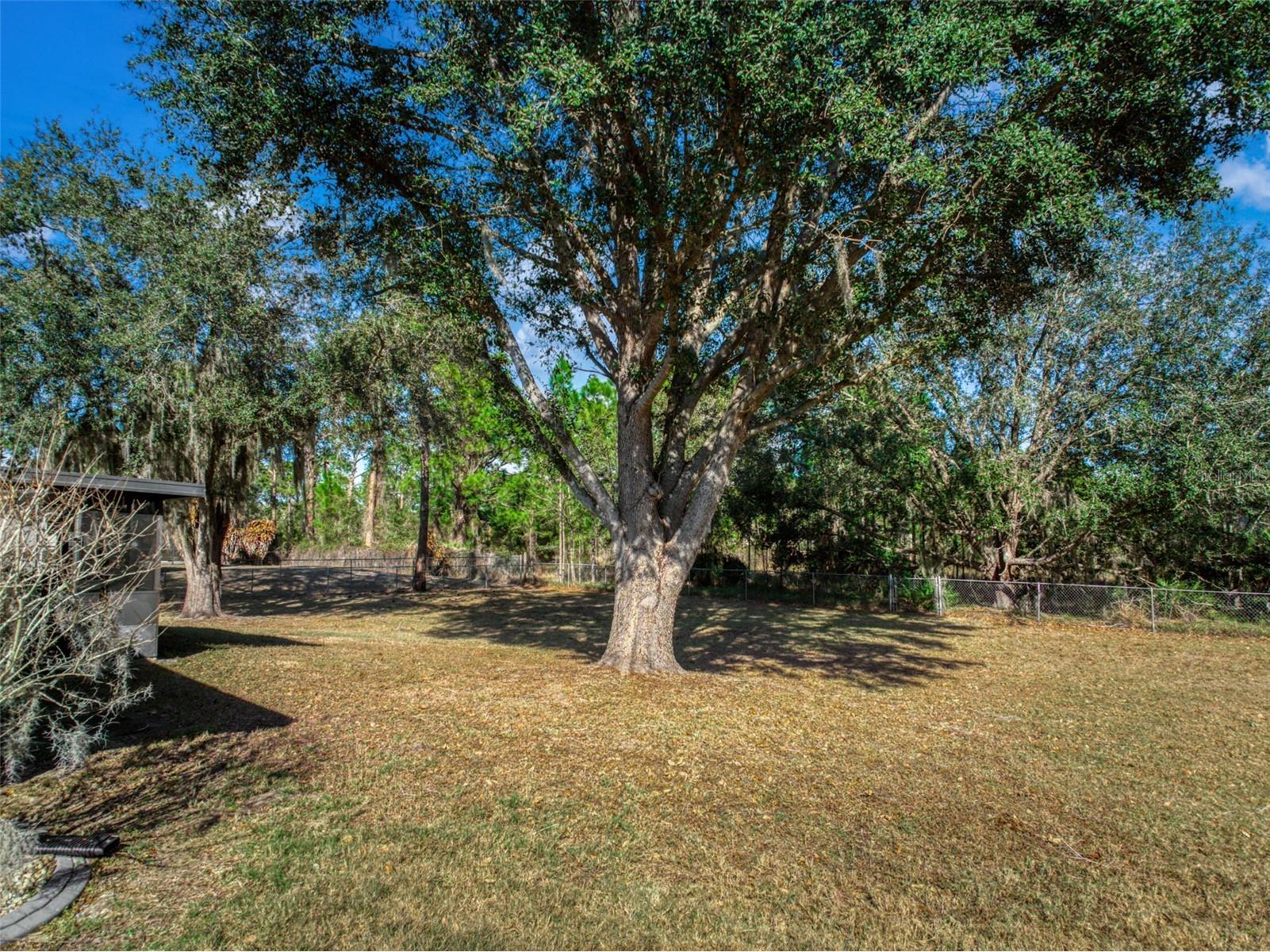 5740 Wolf Lake Road Sebring FL 33875 O6380058 image42