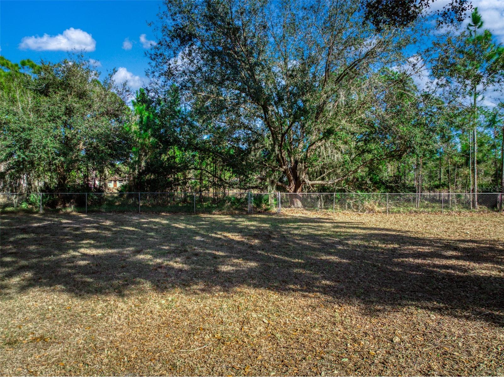 5740 Wolf Lake Road Sebring FL 33875 O6380058 image47