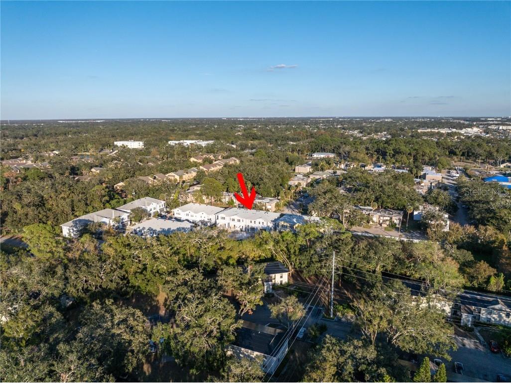 5741 Desert Rose Place Tampa FL 33615 TB8332896 image39