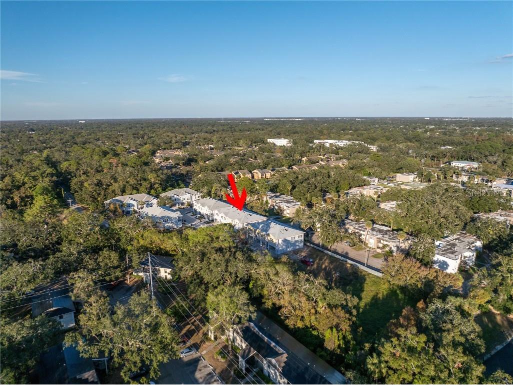 5741 Desert Rose Place Tampa FL 33615 TB8332896 image41