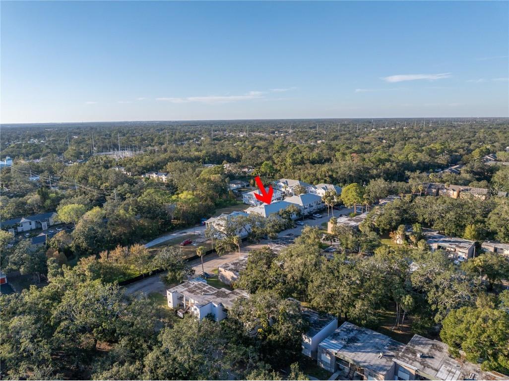 5741 Desert Rose Place Tampa FL 33615 TB8332896 image42