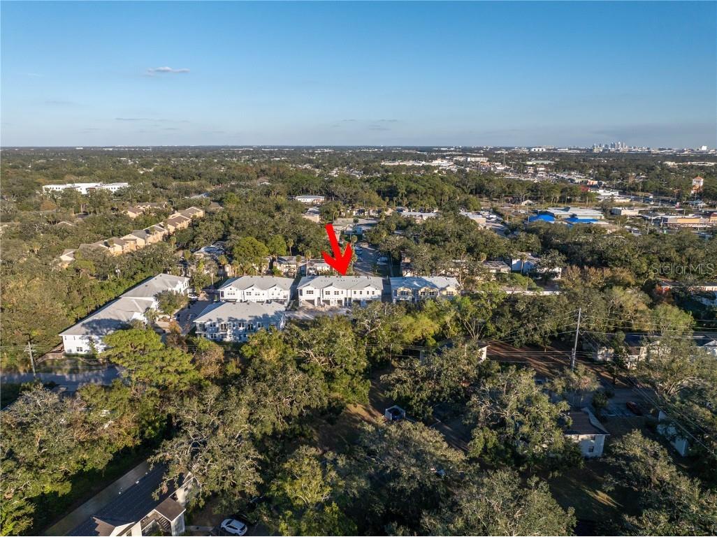 5741 Desert Rose Place Tampa FL 33615 TB8332896 image43