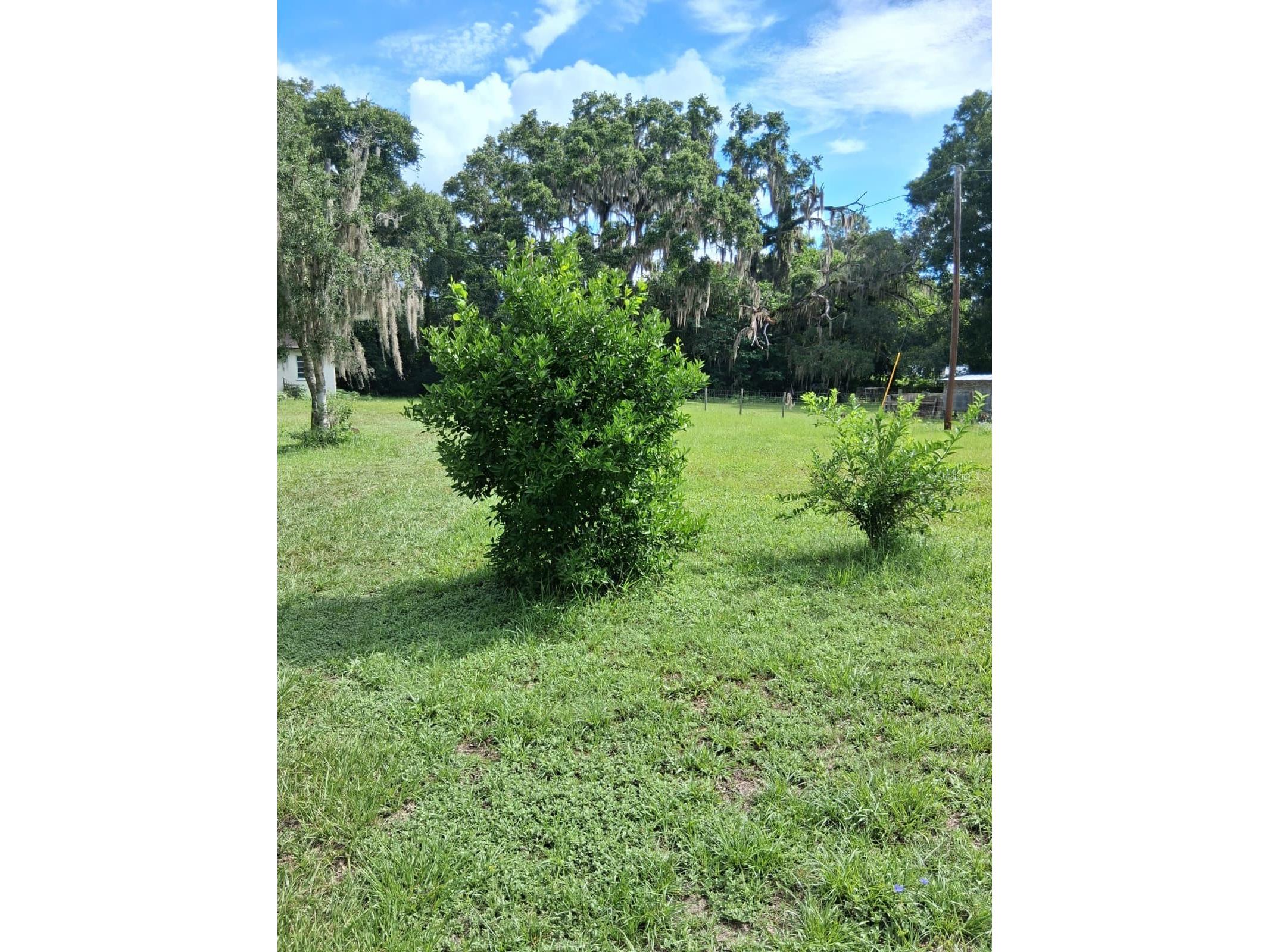 5741 NW 191st Place Reddick FL 32686 TB8529213 image22