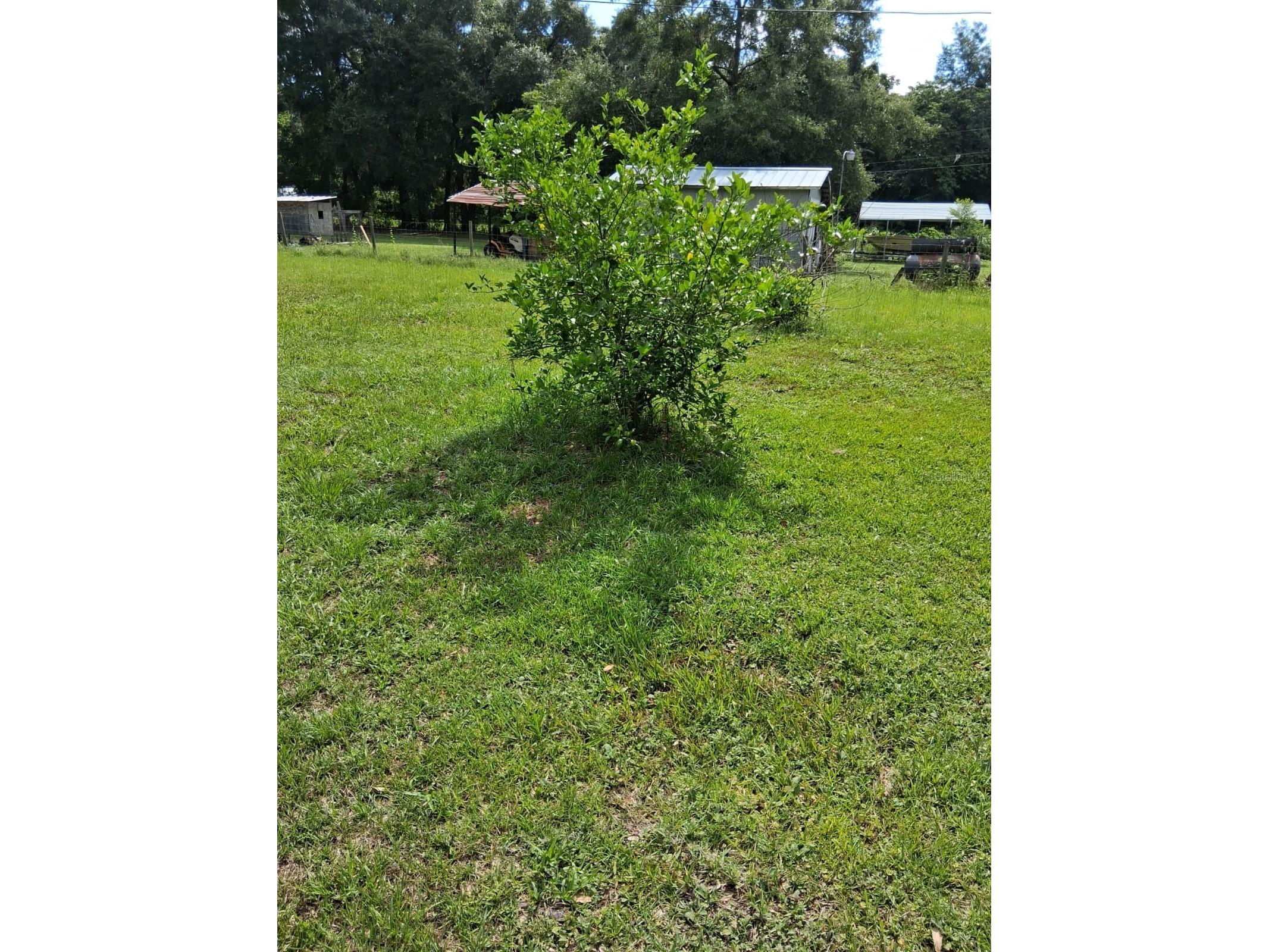 5741 NW 191st Place Reddick FL 32686 TB8529213 image23