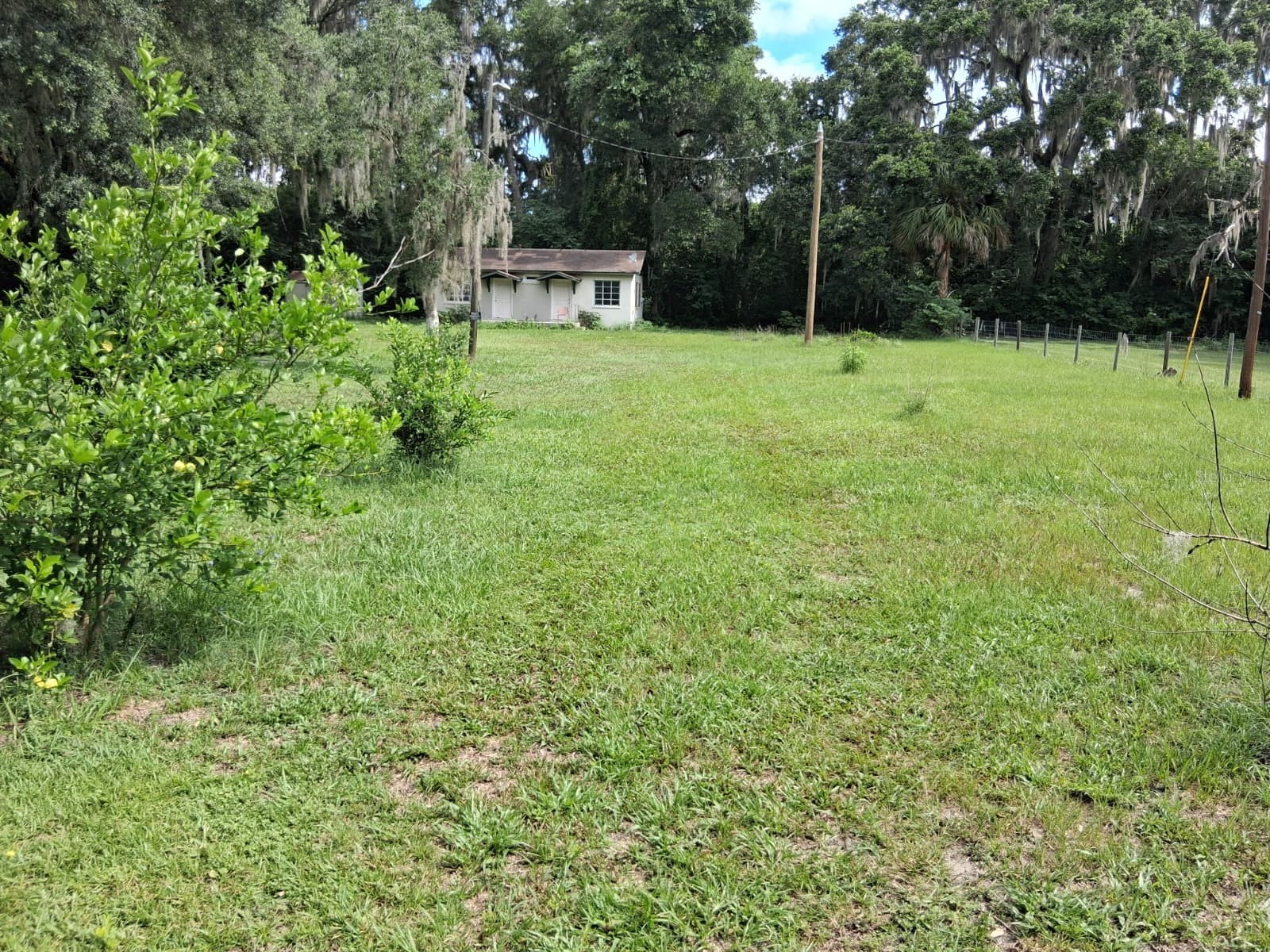 5741 NW 191st Place Reddick FL 32686 TB8529213 image24