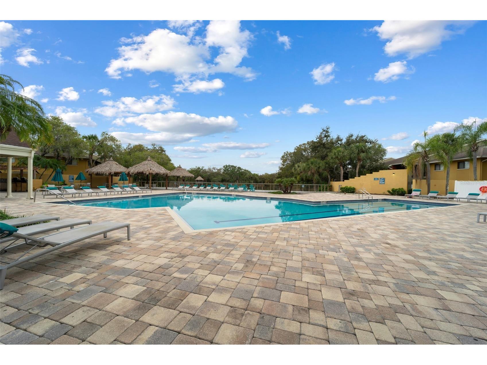 5742 Baywater Drive Tampa FL 33615 TB8480864 image29