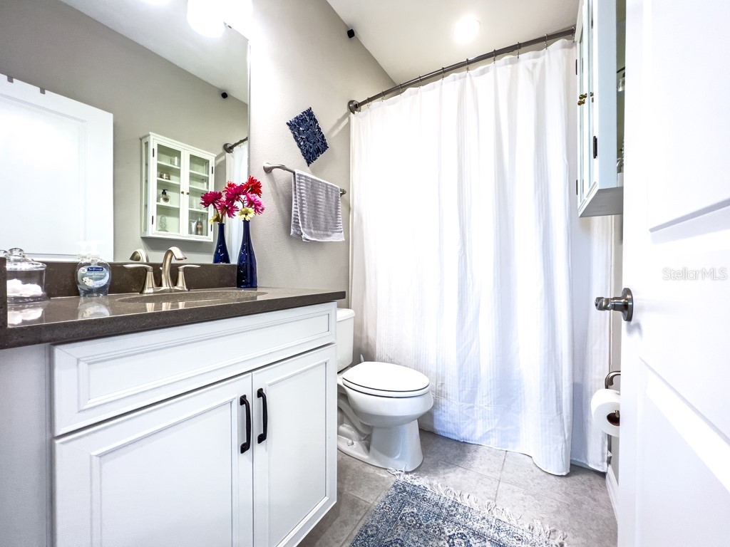 5742 Circa Fishhawk Boulevard Lithia FL 33547 TB8484142 image30