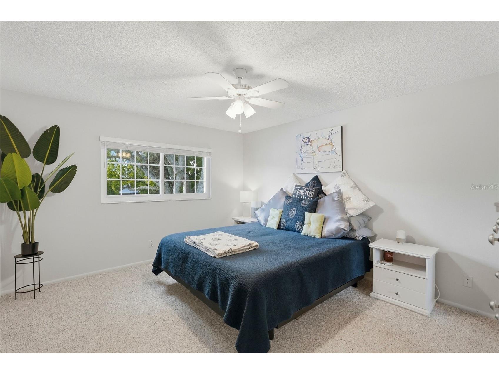 5745 Calais Boulevard N #2 Saint Petersburg FL 33714 A4687589 image19