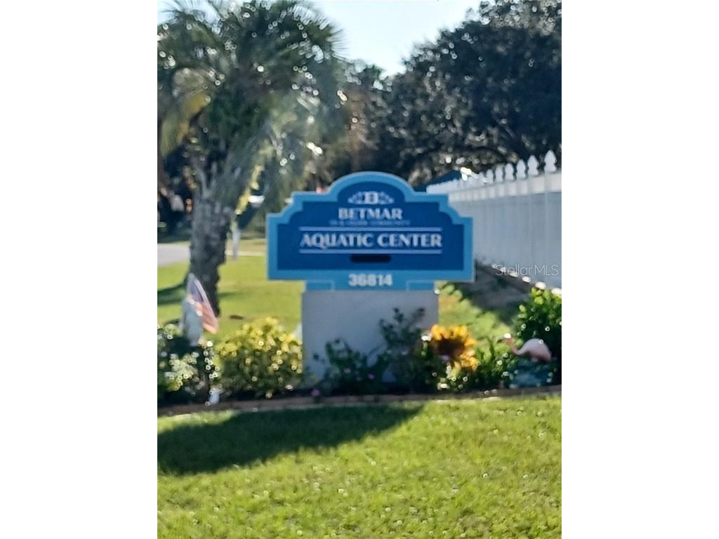 5745 Pawnee Street Zephyrhills FL 33542 TB8442808 image54