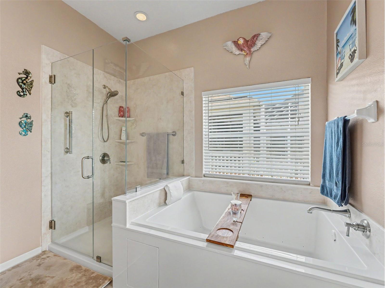 5746 Riva Ridge Drive Wesley Chapel FL 33544 W7885362 image19