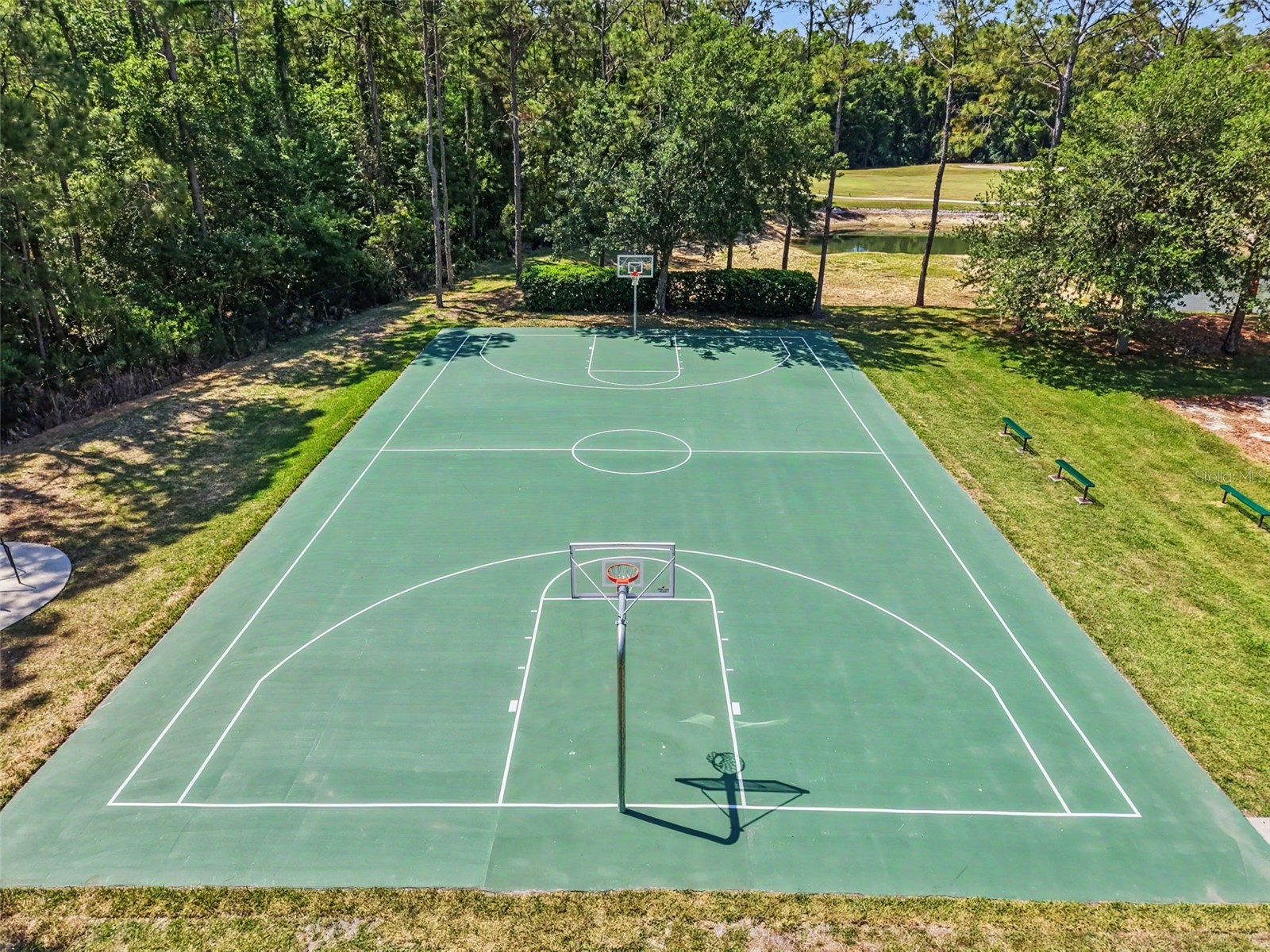 5746 Riva Ridge Drive Wesley Chapel FL 33544 W7885362 image50