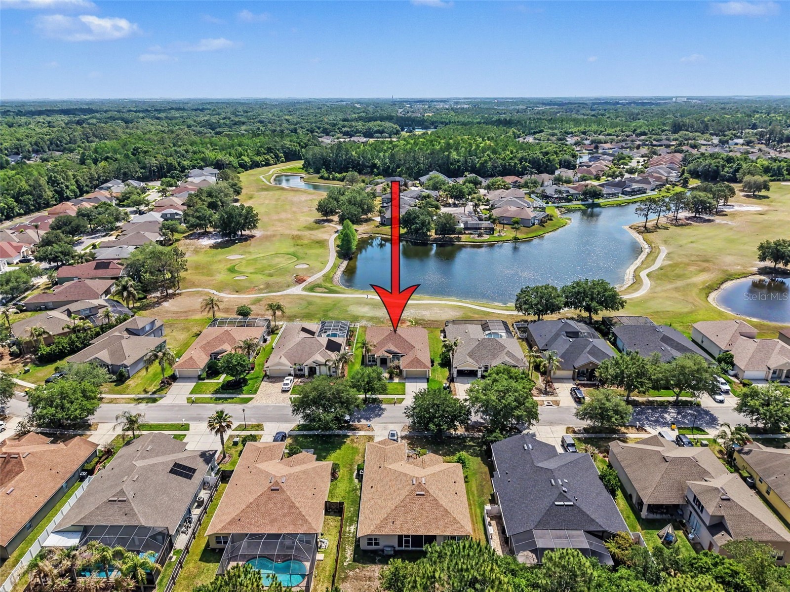 5746 Riva Ridge Drive Wesley Chapel FL 33544 W7885362 image6
