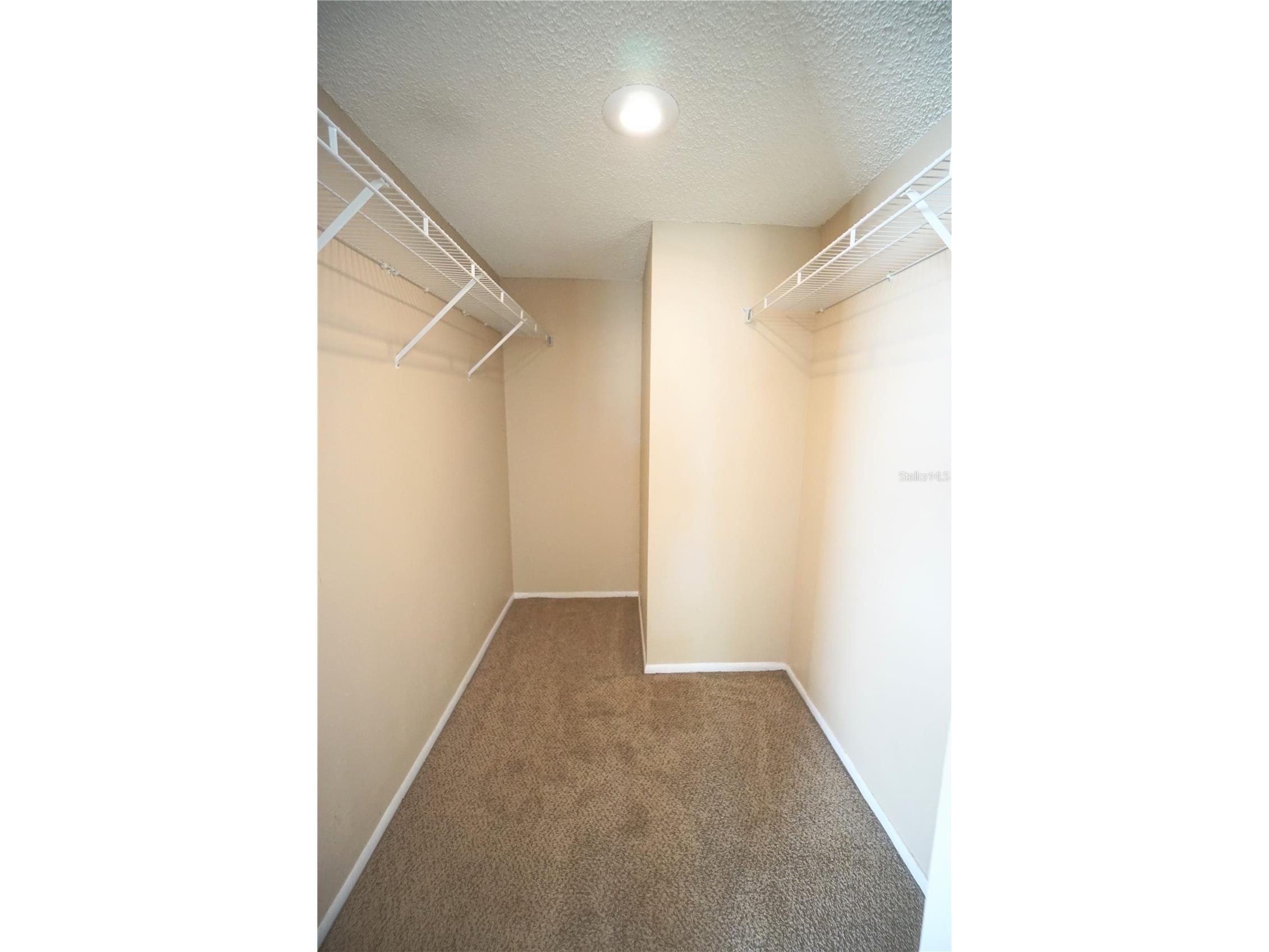 5748 Baywater Drive Tampa FL 33615 TB8467878 image20