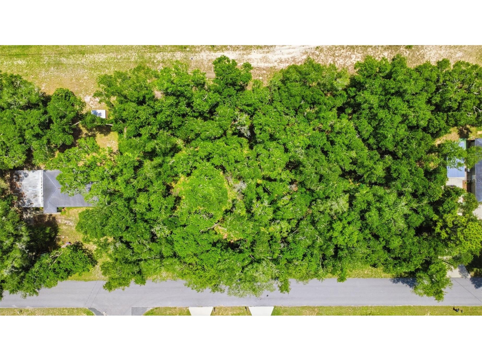 575 N Rooks Avenue Inverness FL 34453 O6417758 image4