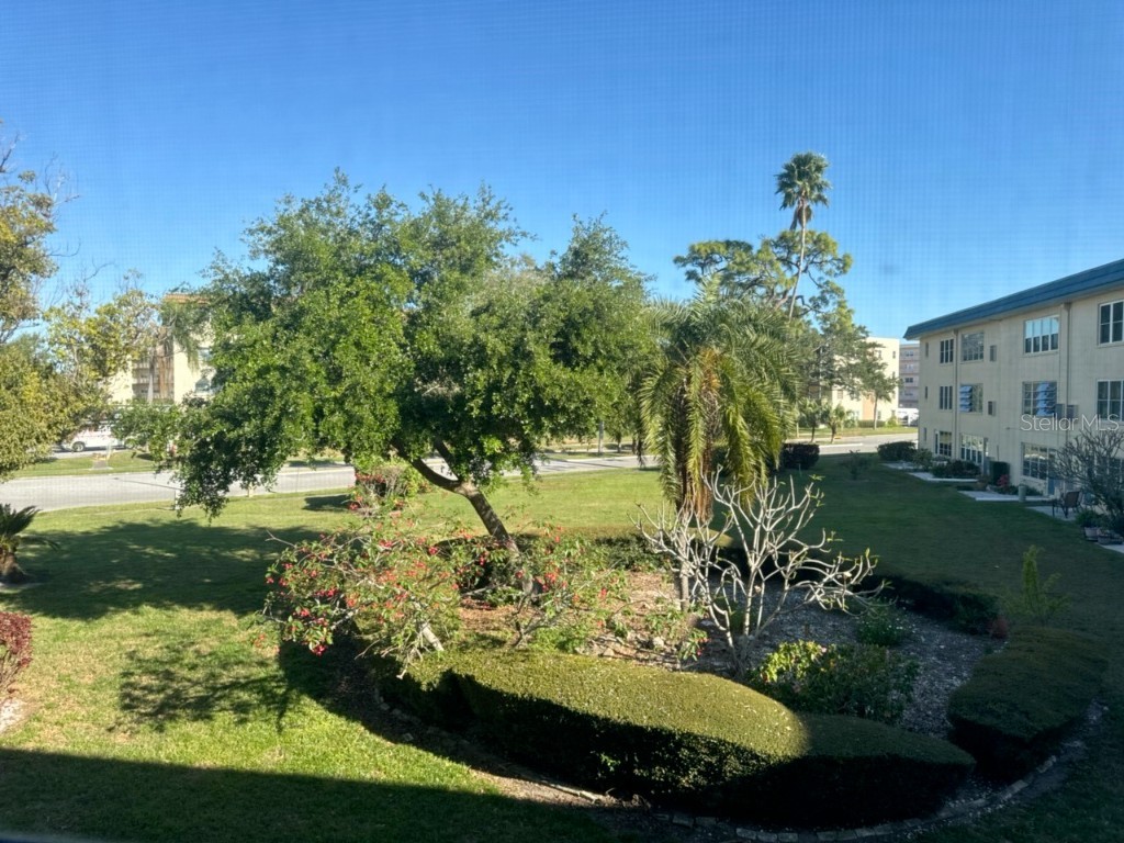 5750 80th Street N #B203 Saint Petersburg FL 33709 TB8367770 image1