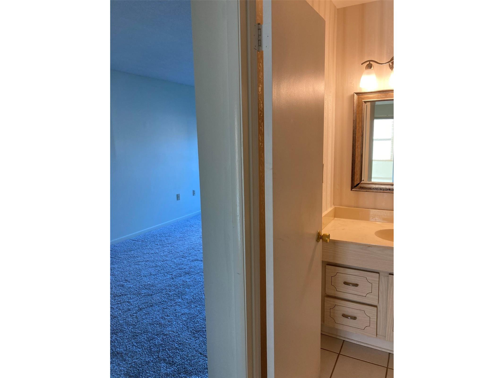 5750 80th Street N #C202 Saint Petersburg FL 33709 TB8484664 image25