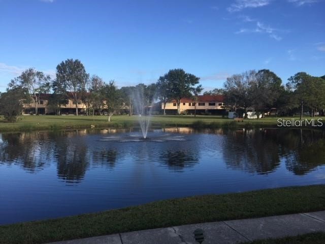 5750 80th Street N #D206 Saint Petersburg FL 33709 TB8442723 image32