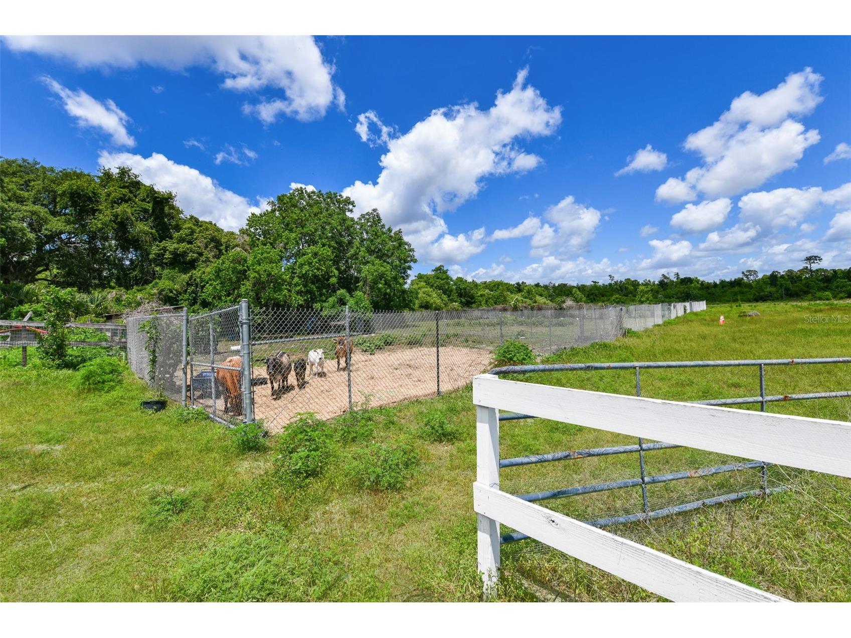 5750 Oak Hollow Lane Oviedo FL 32765 O6412918 image84