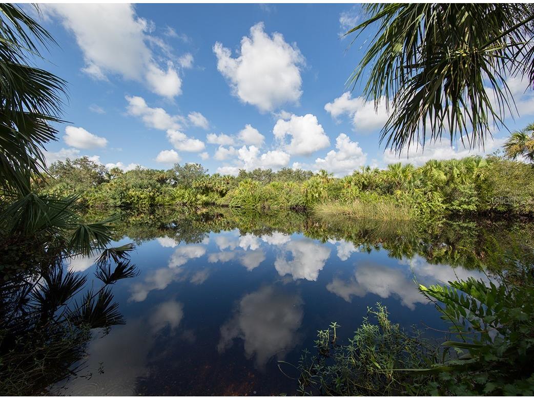 5750 Sabal Trace Drive #202BD5 North Port FL 34287 N6134655 image41