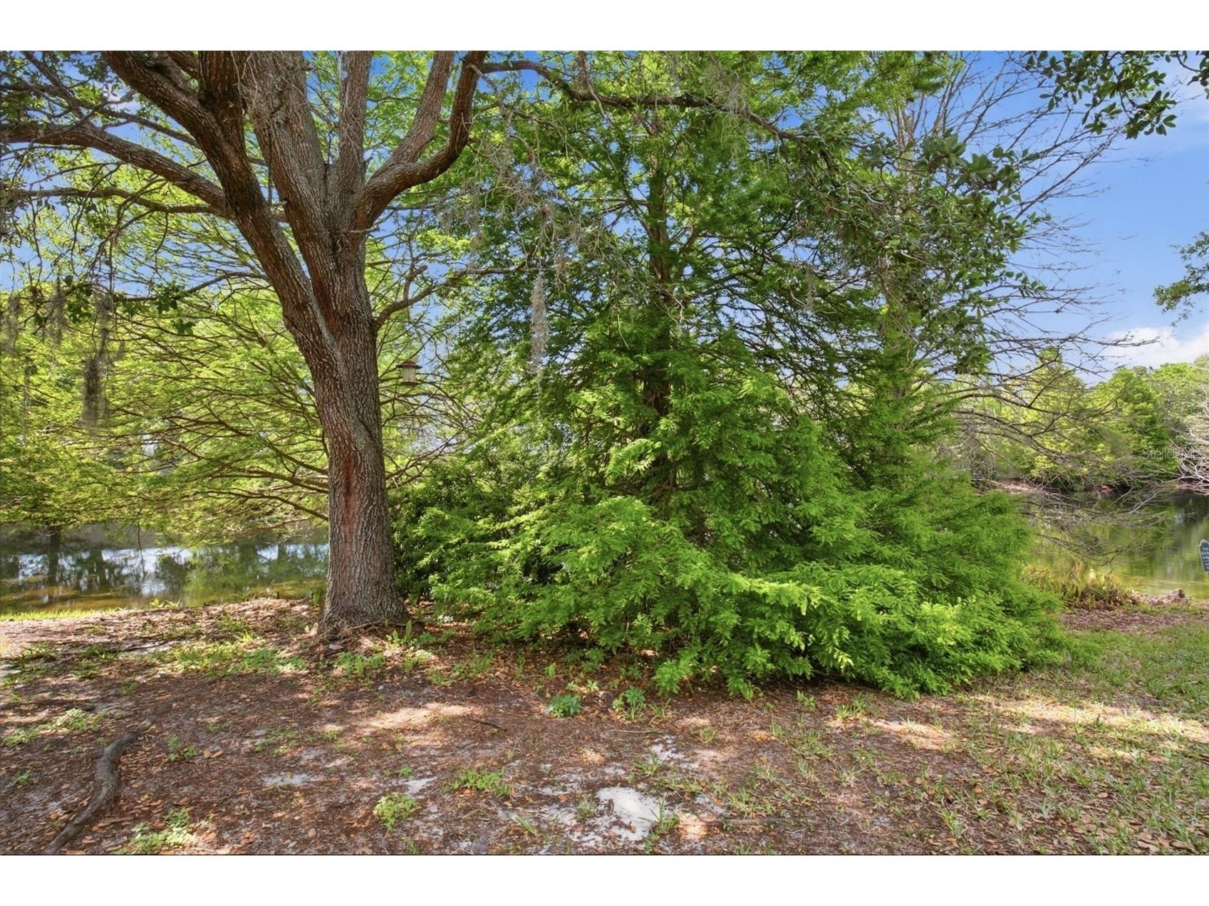 5751 Autumn Shire Drive Zephyrhills FL 33541 O6394229 image28