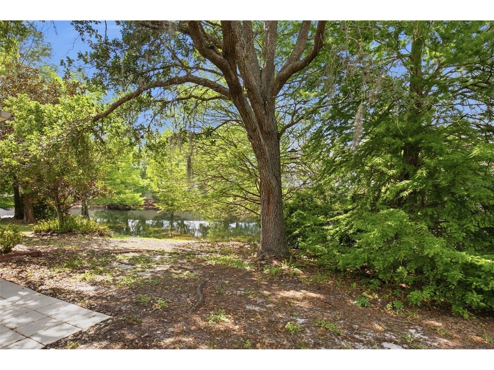 5751 Autumn Shire Drive Zephyrhills FL 33541 O6394229 image29