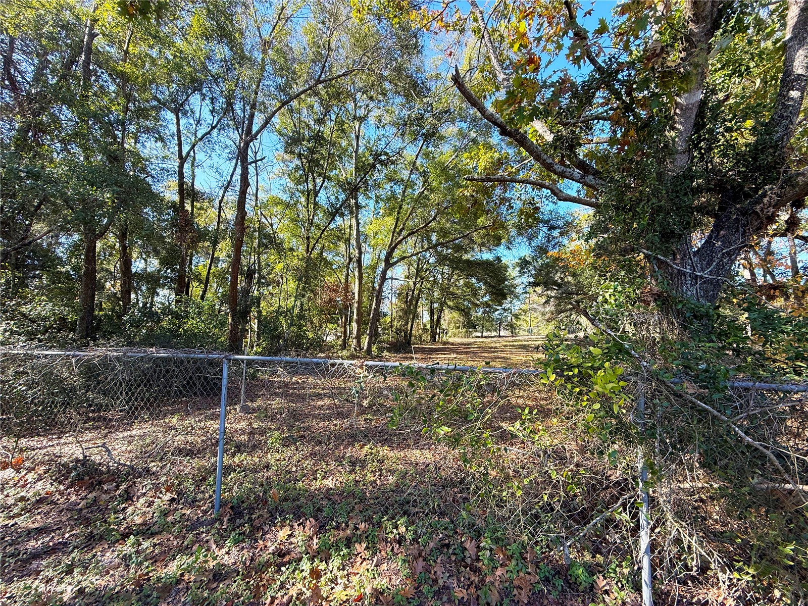 5751 NW 127 Place Chiefland FL 32626 GC536283 image34