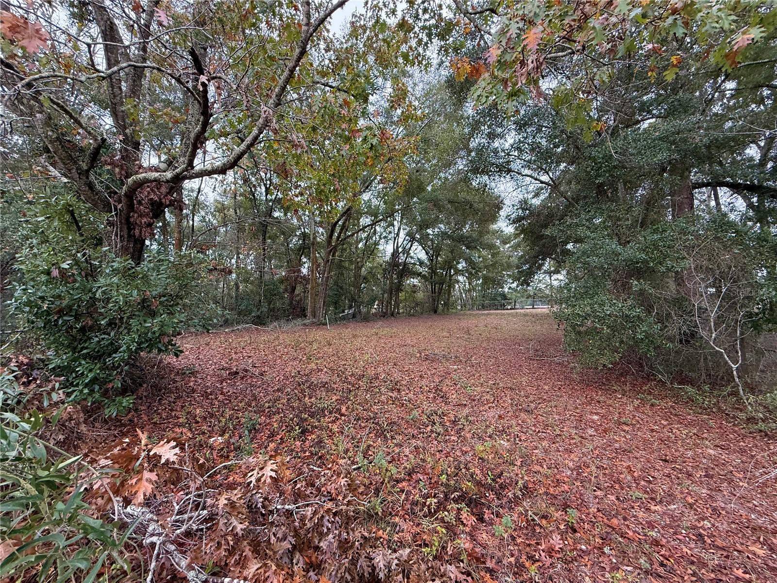 5751 NW 127 Place Chiefland FL 32626 GC536283 image35