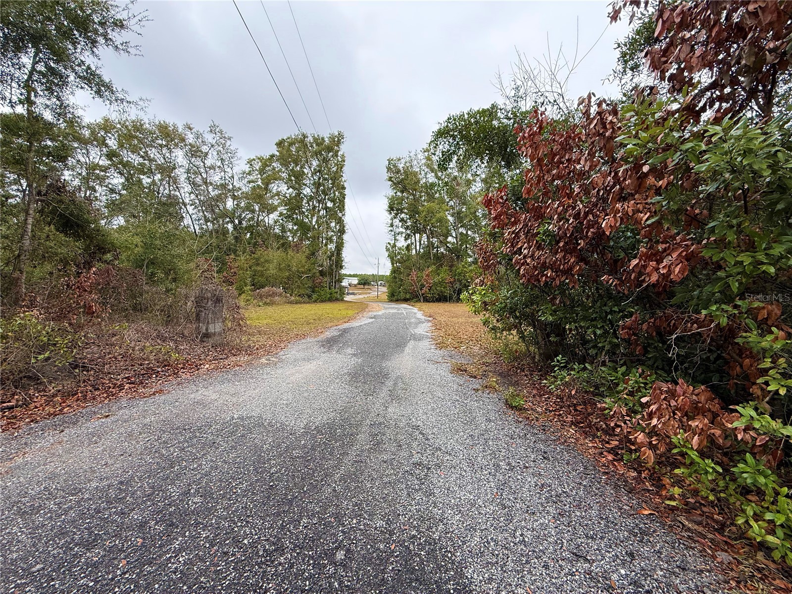 5751 NW 127 Place Chiefland FL 32626 GC536283 image41