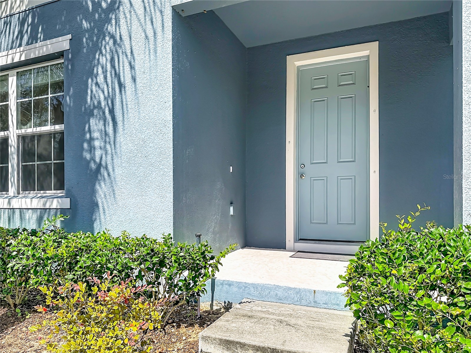 5754 Surprise Lily Drive Winter Garden FL 34787 S5151845 image3