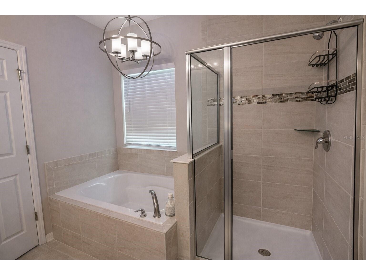 5755 Cypress Hill Road Winter Garden FL 34787 O6404161 image9