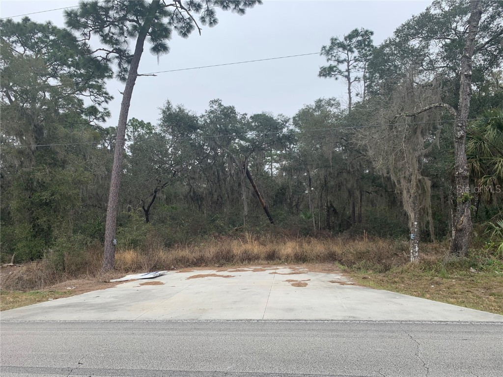 5755 Lake Winona Road De Leon Springs FL 32130 V4936695 image1