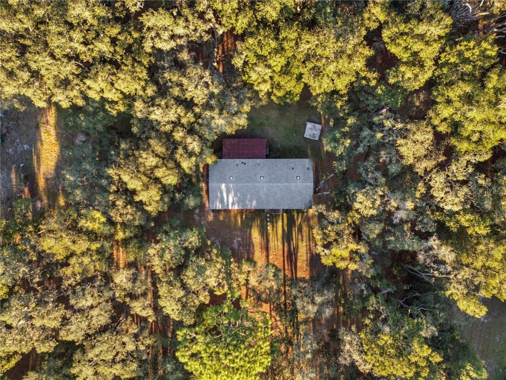 5755 N Highland Park Drive Hernando FL 34442 OM714580 image33