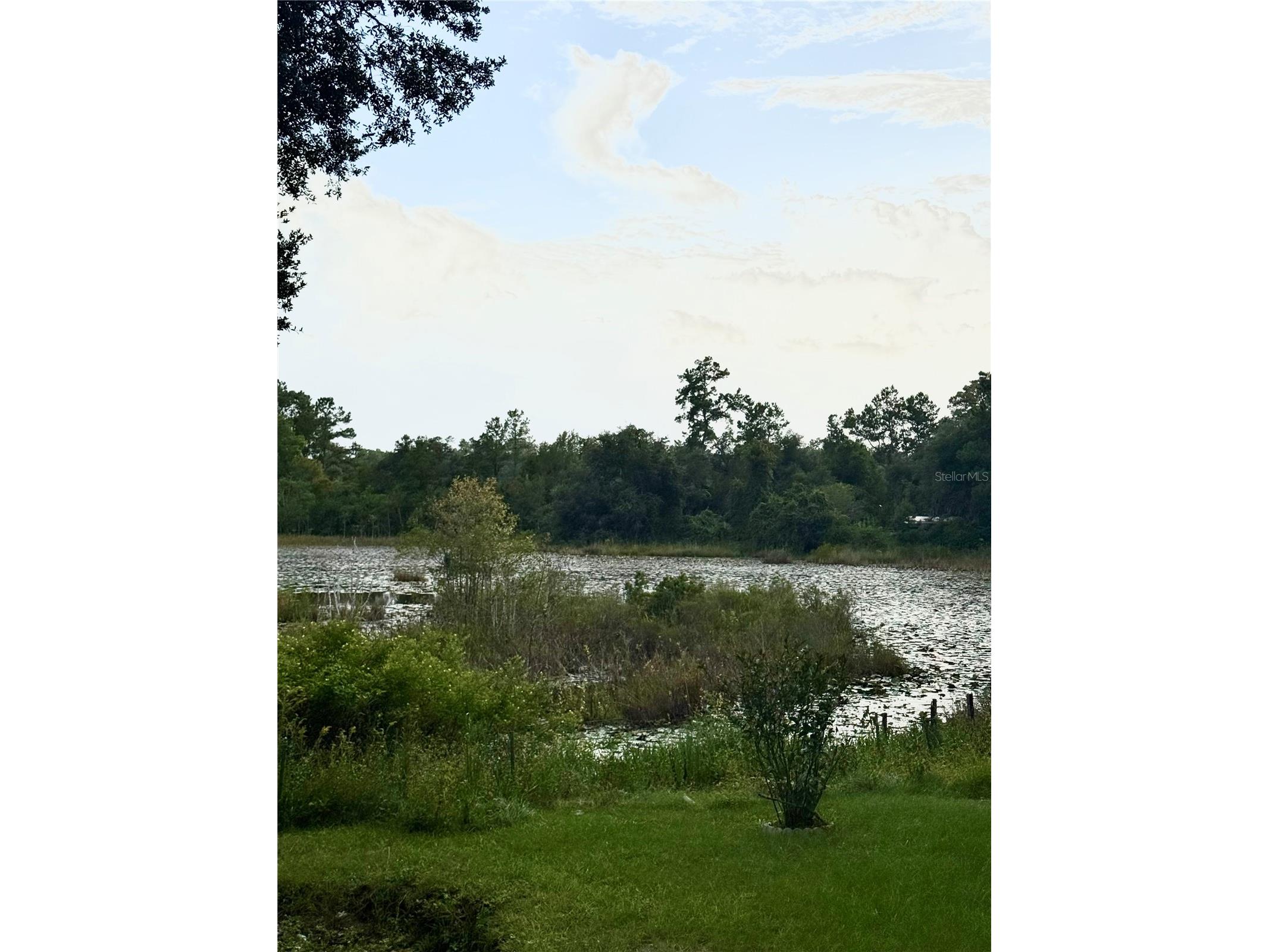 5756 NE 165th Terrace Road Silver Springs FL 34488 - LAKE SILVER SPRINGS OM721236 image2