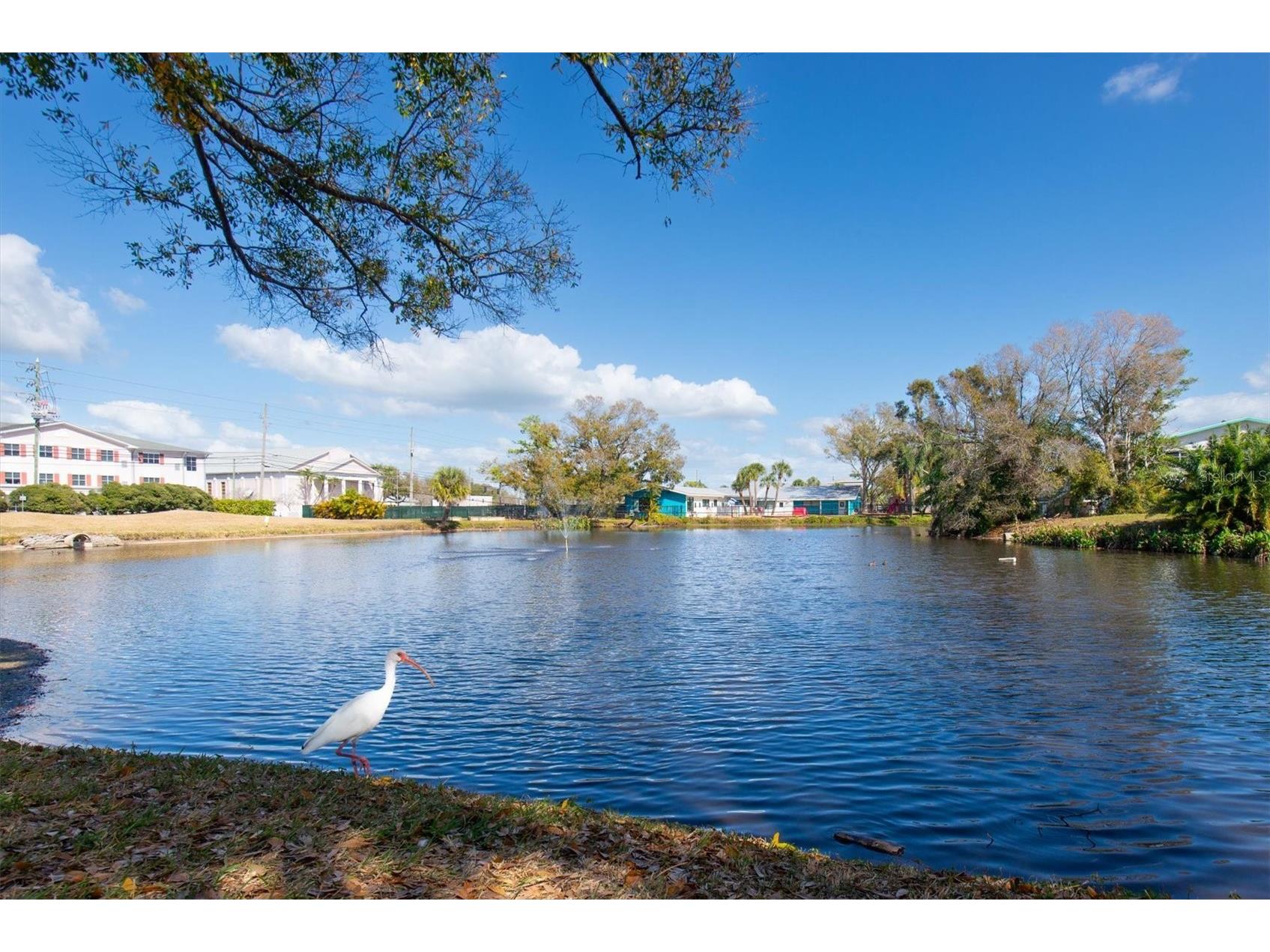 5757 Calais Boulevard N #2 Saint Petersburg FL 33714 TB8477496 image34