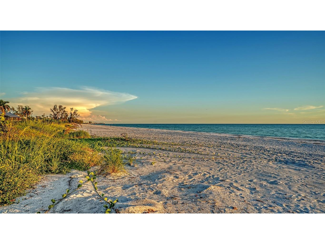 5757 Gulf Of Mexico Drive #204 Longboat Key FL 34228 A4666130 image56
