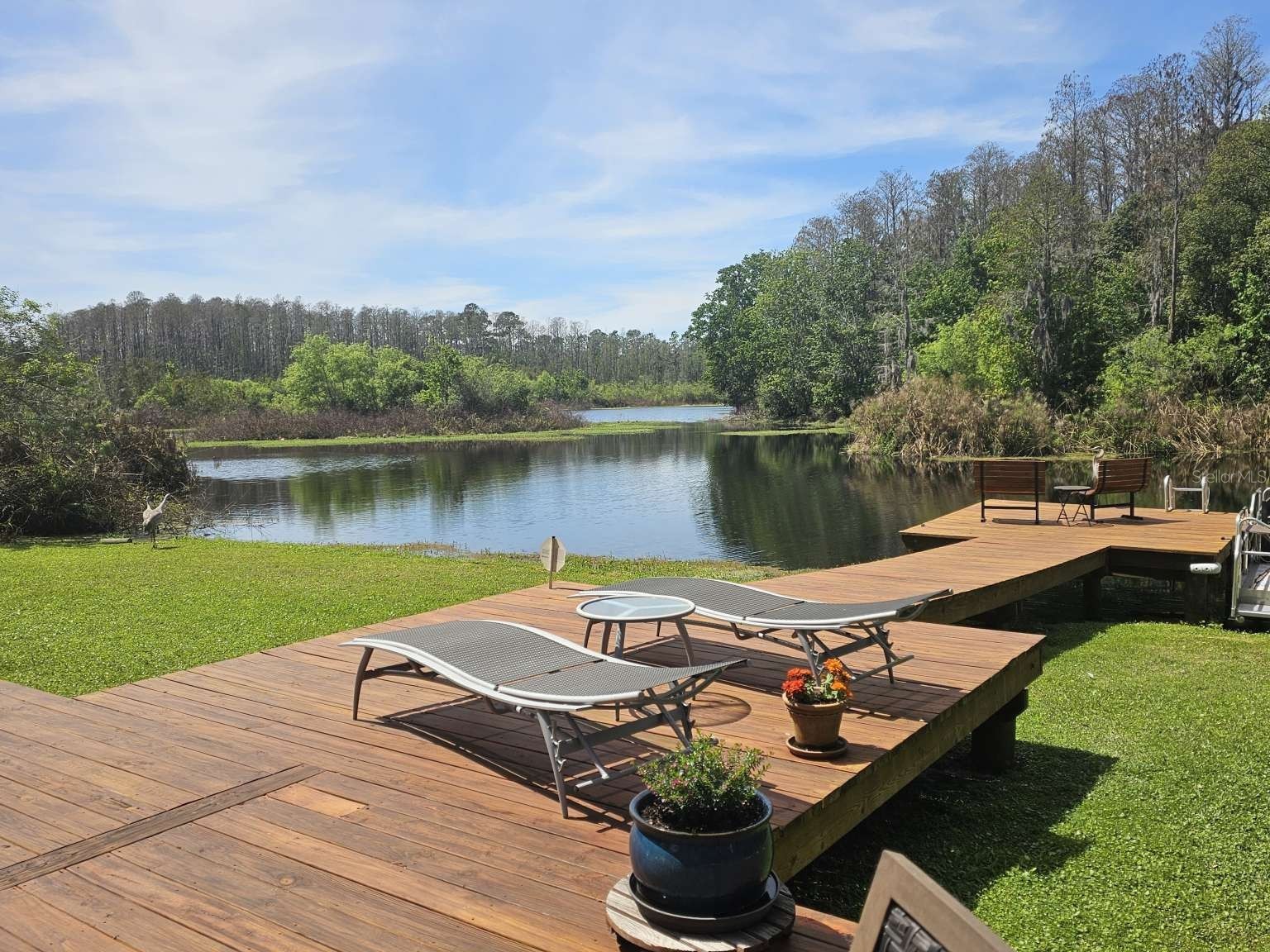 5757 Sweet Cherry Lane Land O Lakes FL 34639 TB8497036 image36