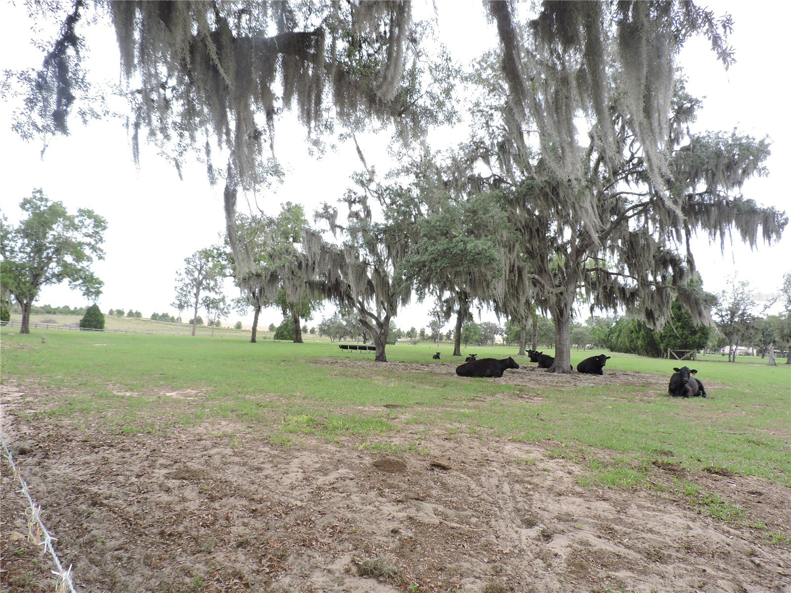 5757 Trask Road Fort Meade FL 33841 K4903544 image61