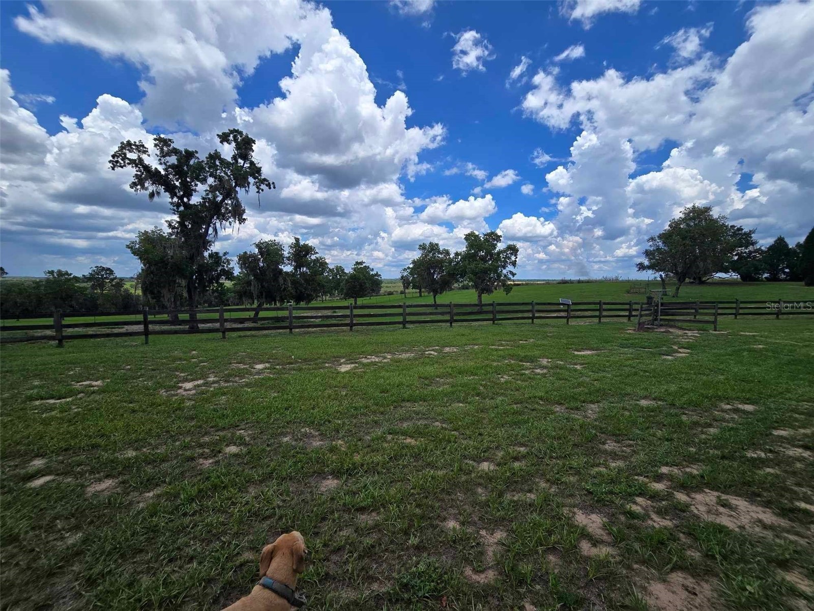 5757 Trask Road Fort Meade FL 33841 K4903544 image67