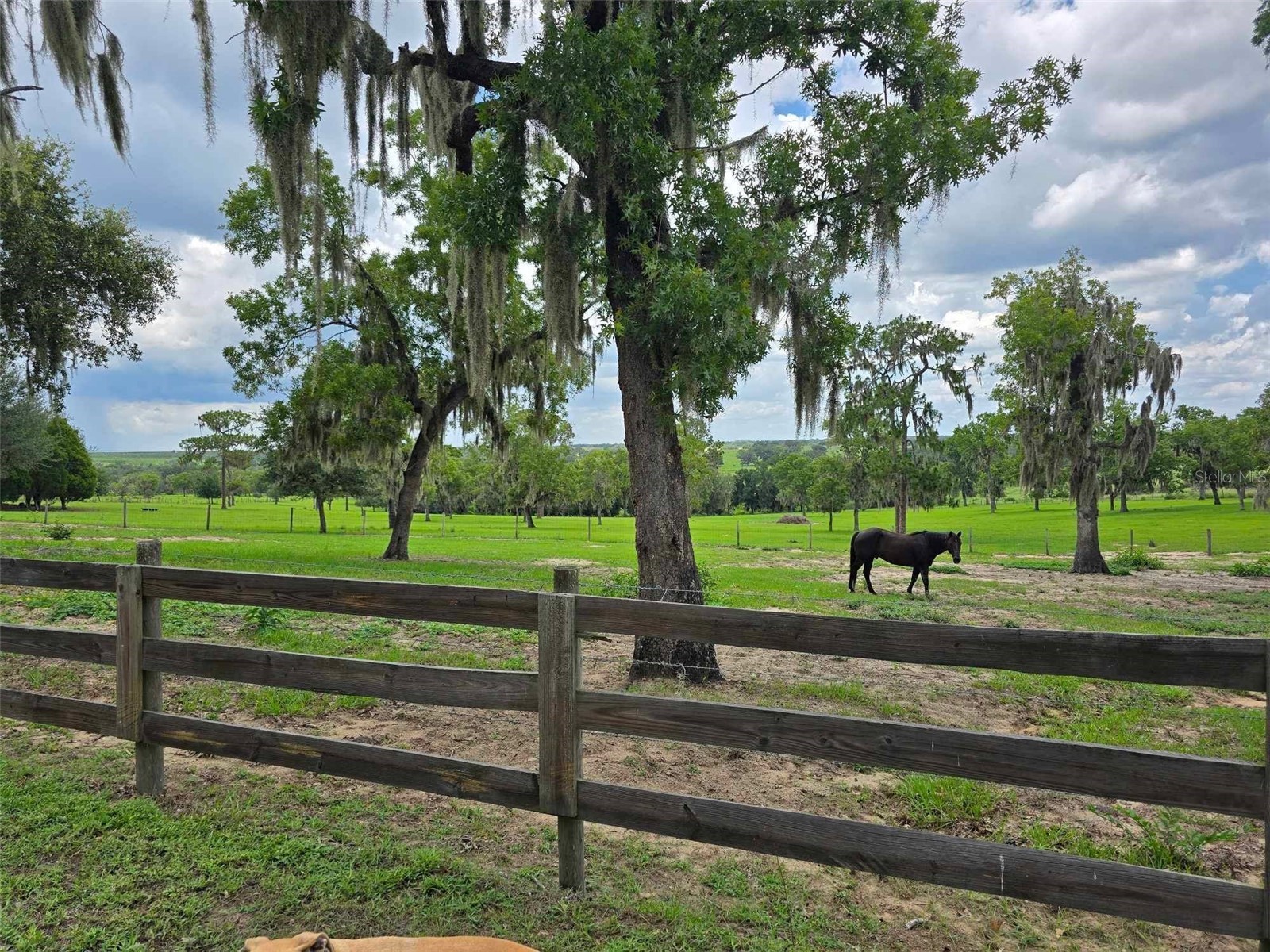 5757 Trask Road Fort Meade FL 33841 K4903544 image72