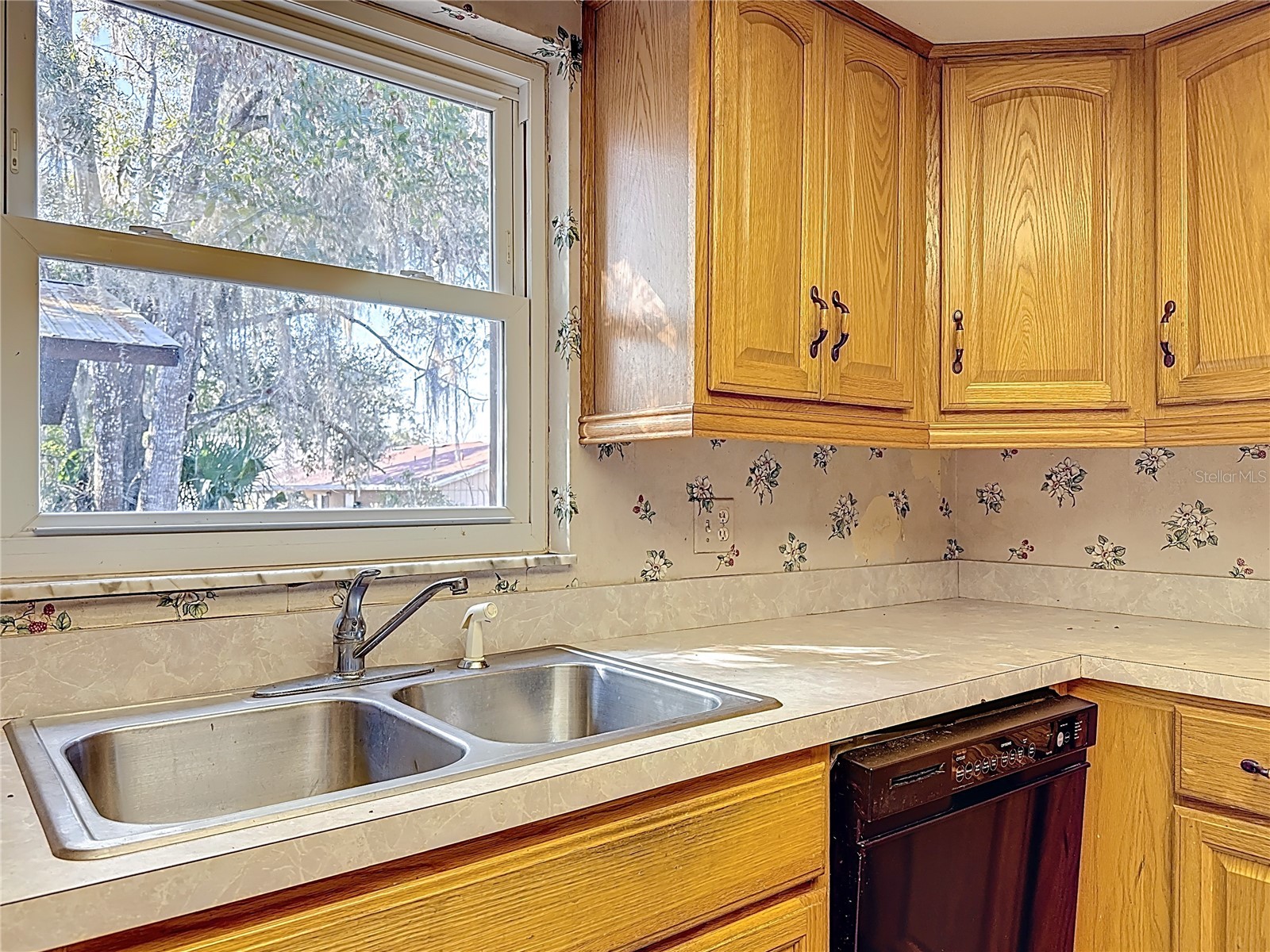 5759 Lake Street Mount Dora FL 32757 V4947391 image19