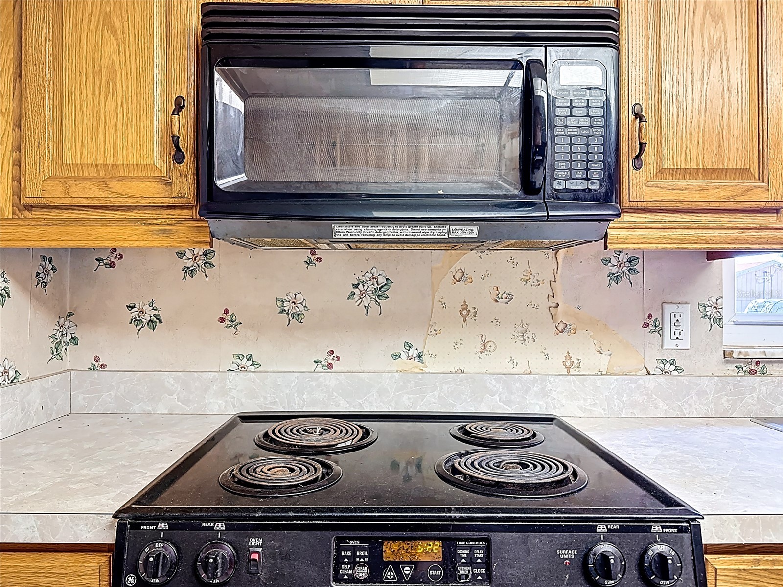 5759 Lake Street Mount Dora FL 32757 V4947391 image20