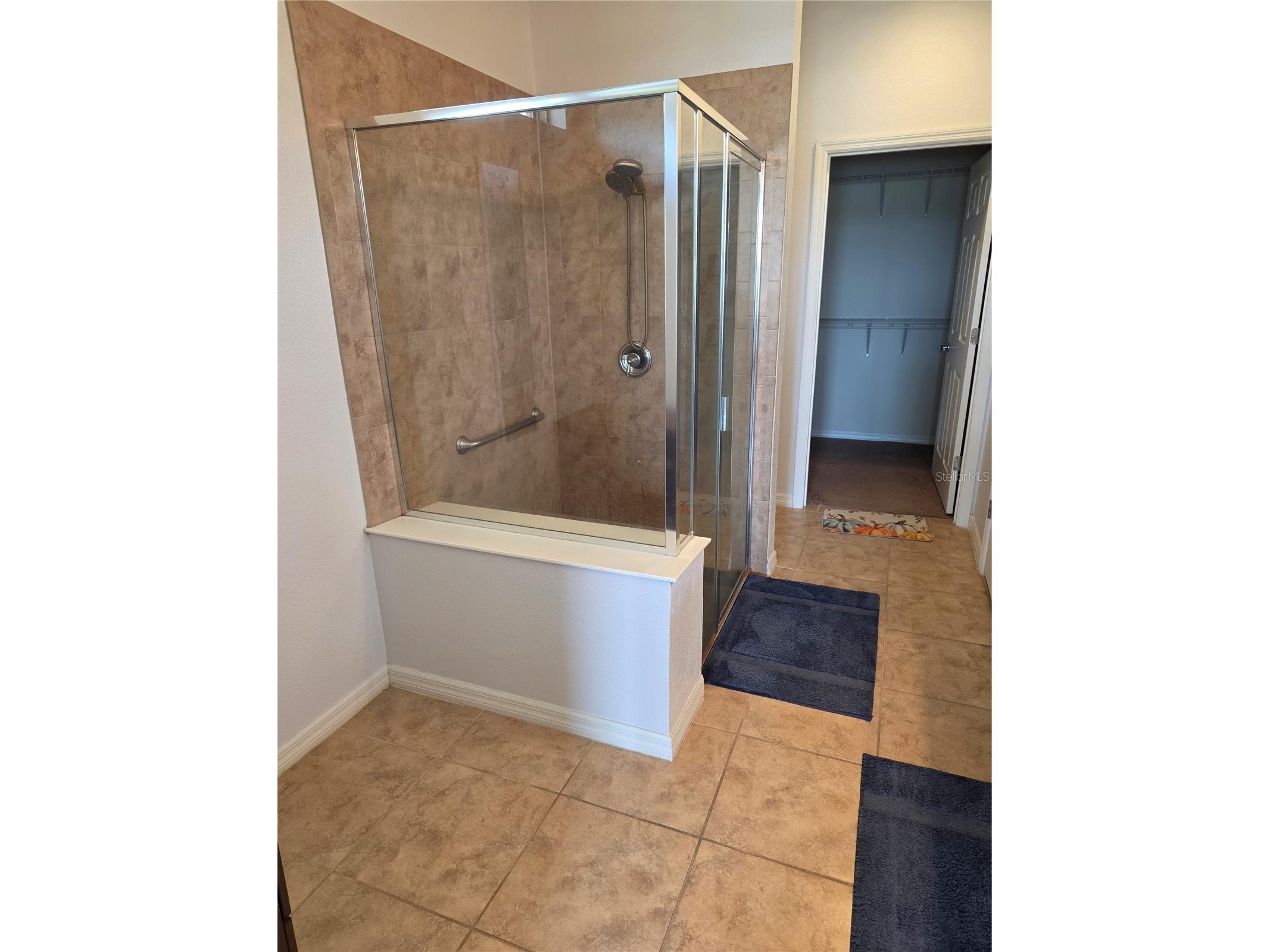 576 Cantabria Drive Davenport FL 33837 TB8525739 image13
