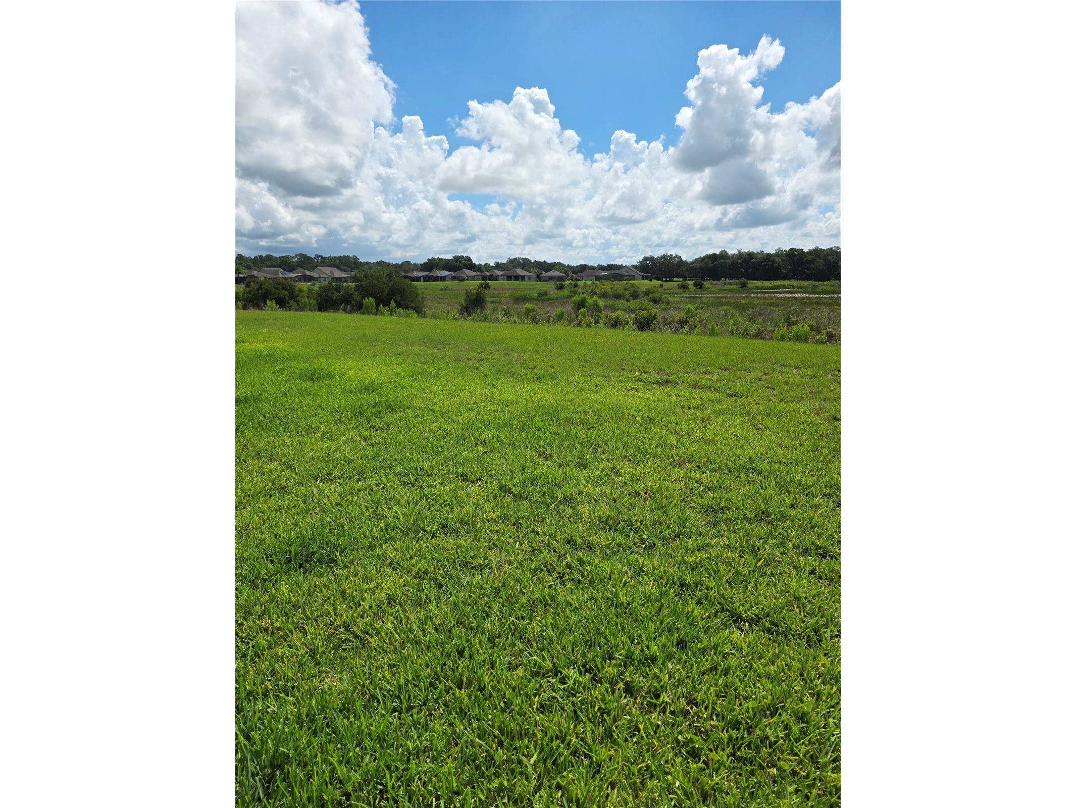 576 Cantabria Drive Davenport FL 33837 TB8525739 image25