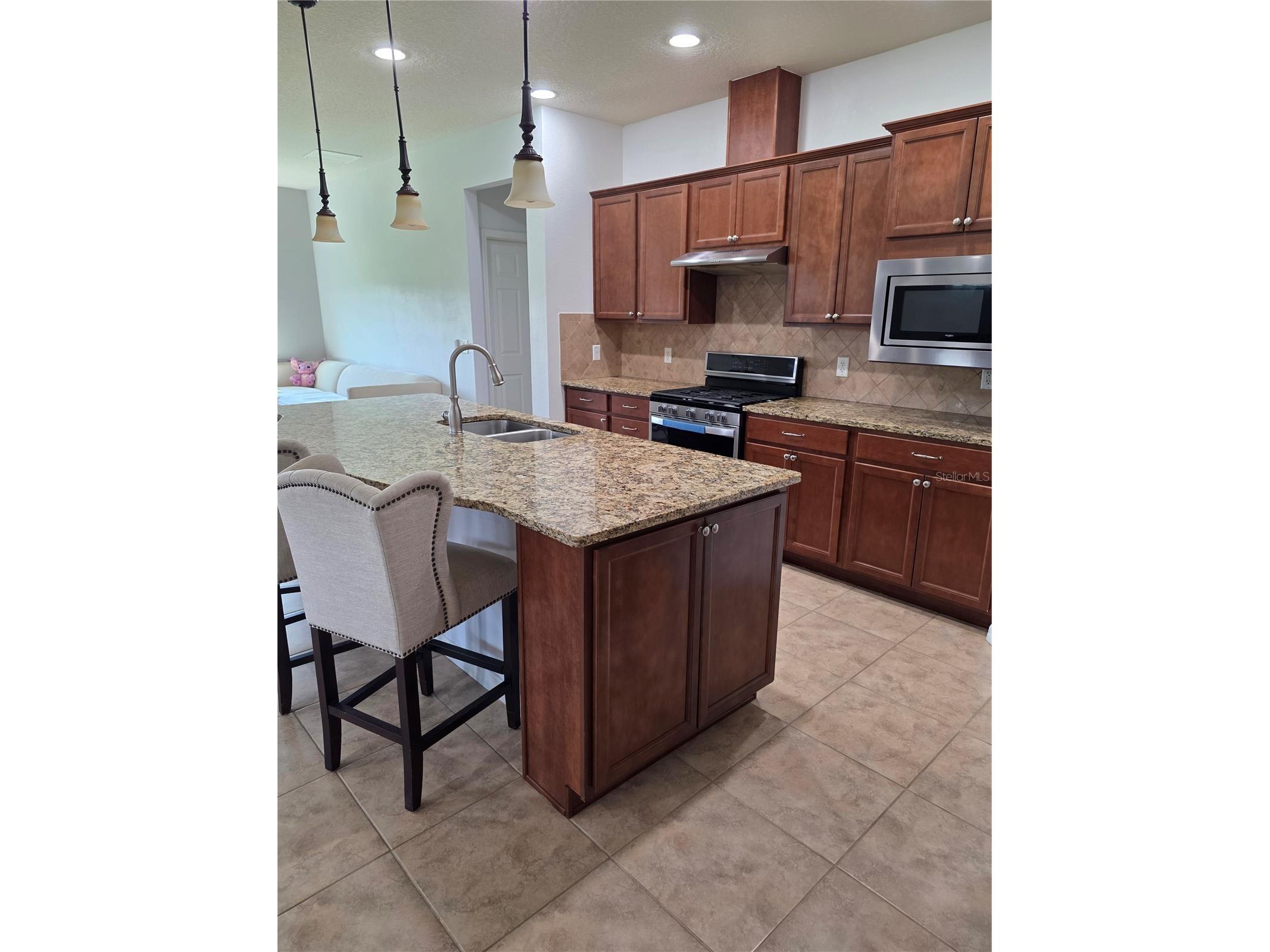 576 Cantabria Drive Davenport FL 33837 TB8525739 image5